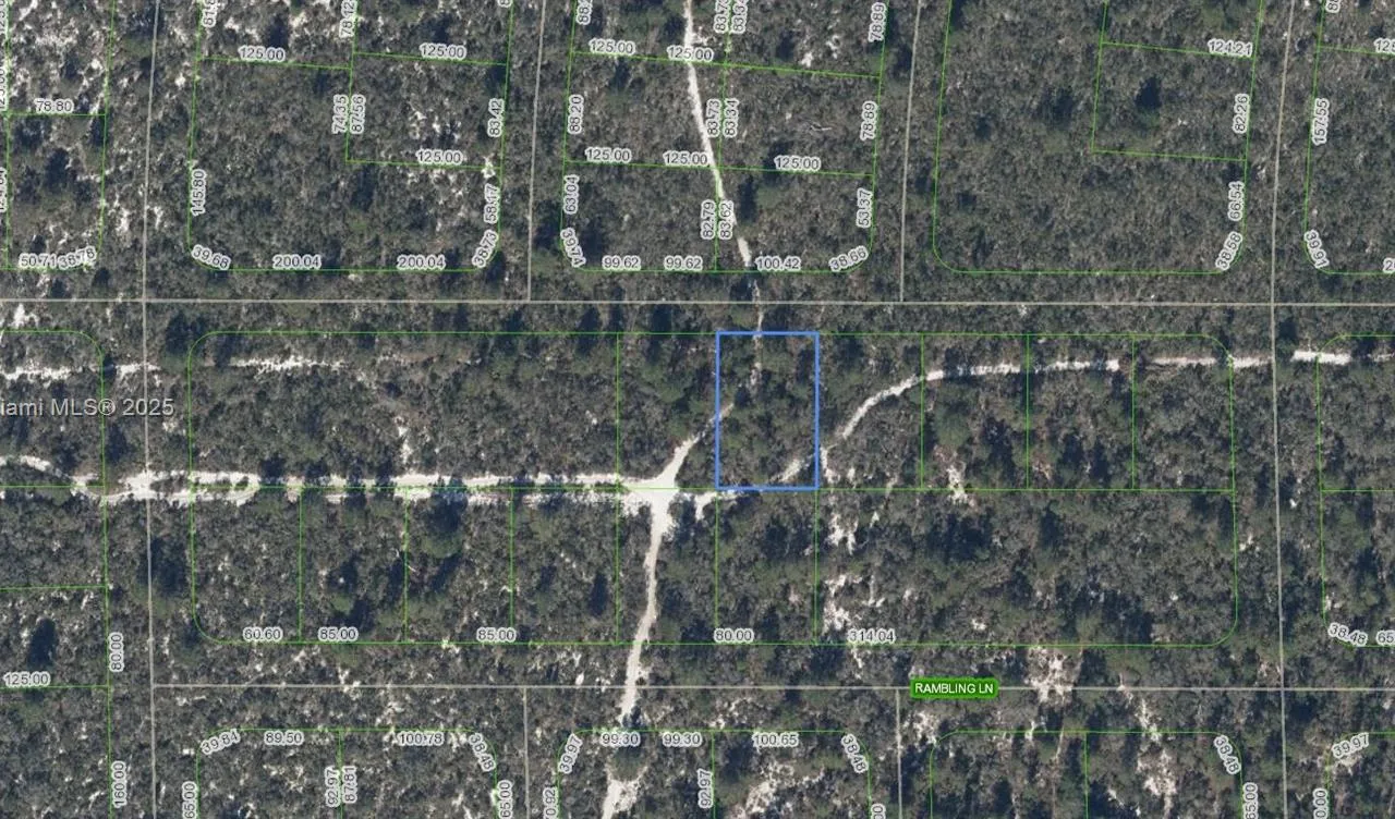 437 Souvenir Lane, Lake Placid FL 33852