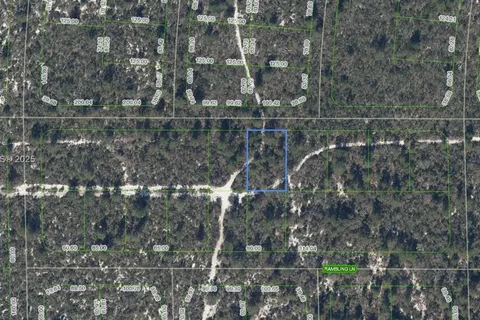 437 Souvenir Lane, Lake Placid FL 33852