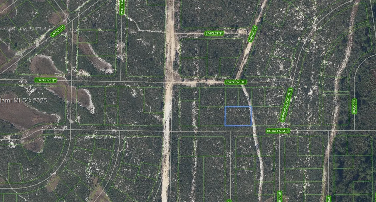 6033 Royal Palm Street, Sebring FL 33870