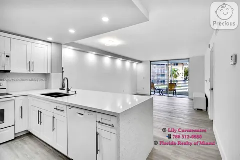 3725 NE 169 ST # 203, North Miami Beach FL 33160