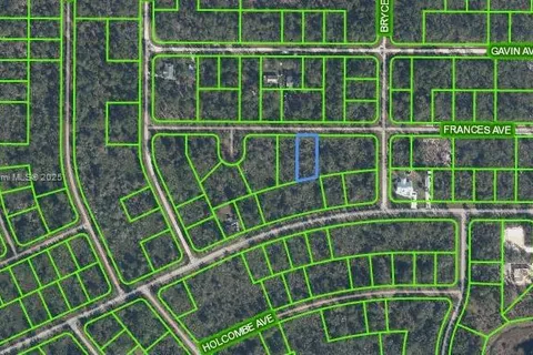 3130 Frances Avenue, Lake Placid FL 33852