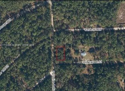 Not yet assigned Paradise lake dr, Other City - In The State Of Florida FL 32139