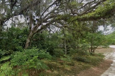 Lot 1 SE 118th St, Other City - In The State Of Florida FL 34420