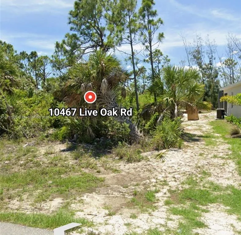 10467 live oak rd, Port Charlotte FL 33948