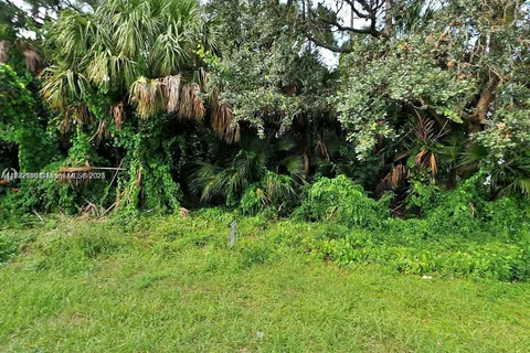 890 Yellow Tail, Other City - In The State Of Florida FL 32908