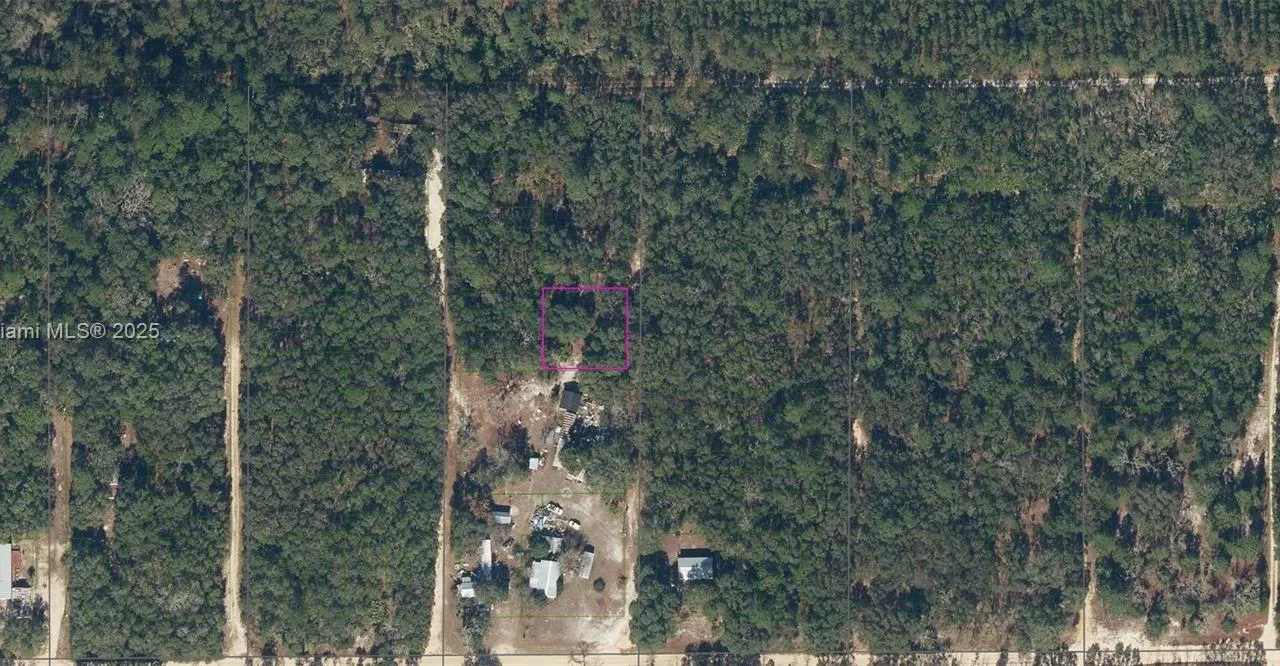 221 Palm Trl, Palatka FL 32177