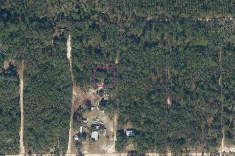 221 Palm Trl, Palatka FL 32177