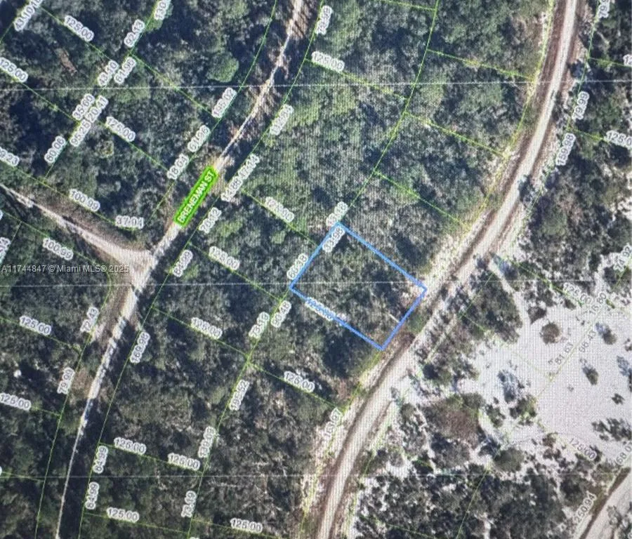 1 Dogwood, Lake Placid FL 33852