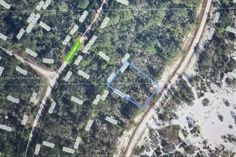 1 Dogwood, Lake Placid FL 33852