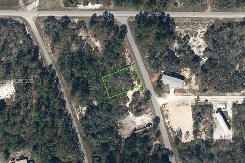 126 Blue Horizon, Lake Placid FL 33852