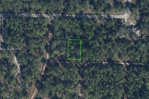 3215 Delafield, Lake Placid FL 33852