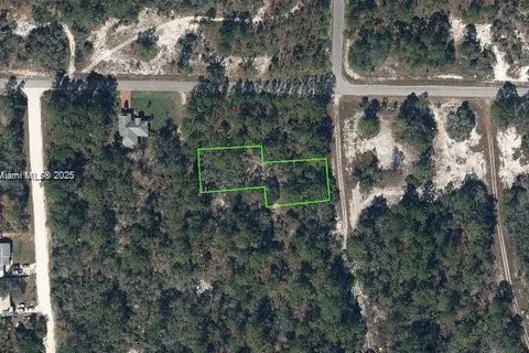 405 Blue Horizon, Lake Placid FL 33852