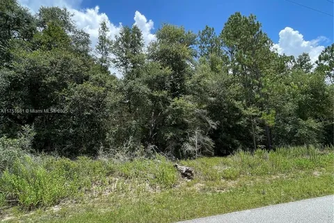 tbd SW 59th LN, Other City - In The State Of Florida FL 34431