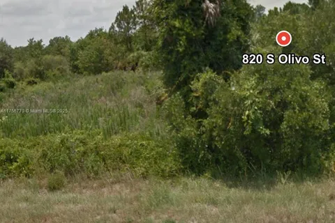 820 S OLIVO ST, Clewiston FL 33440