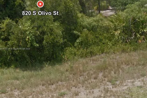 820 S OLIVO ST, Clewiston FL 33440