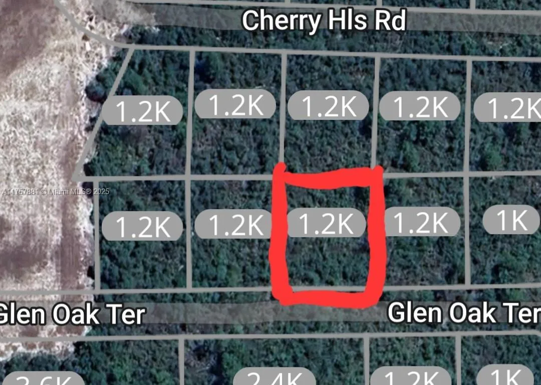 2924 Glen Oak Ter., Sebring FL 33875