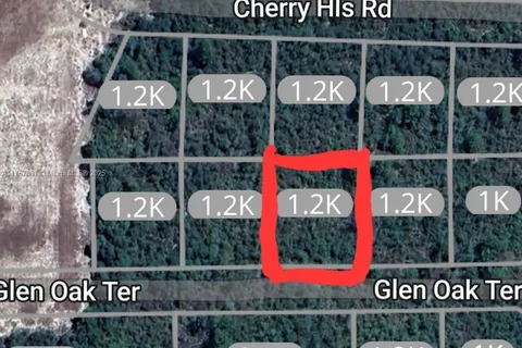 2924 Glen Oak Ter., Sebring FL 33875