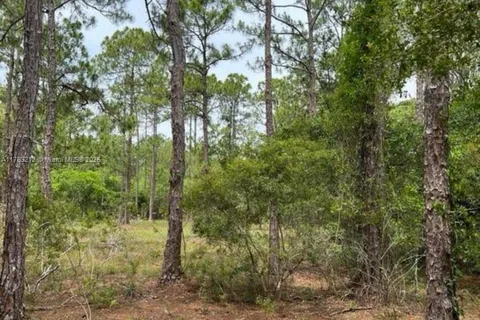 2001 PANAMA AV, Clewiston FL 33440