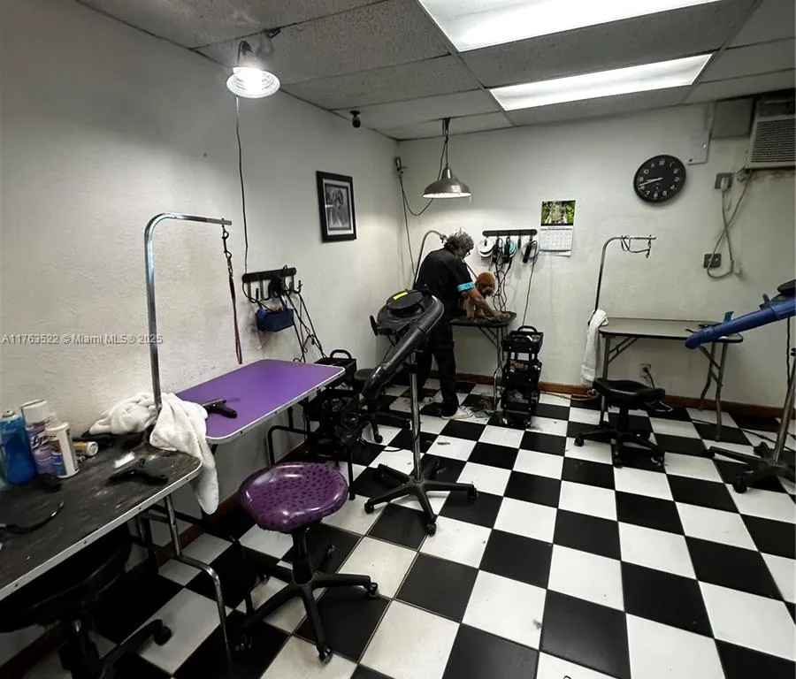 DOG GROOMING CONFIDENTIAL, Miami FL 33155