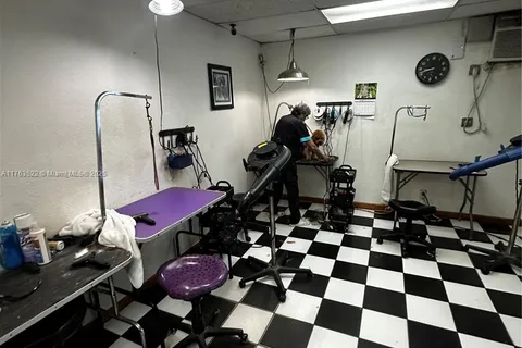 DOG GROOMING CONFIDENTIAL, Miami FL 33155