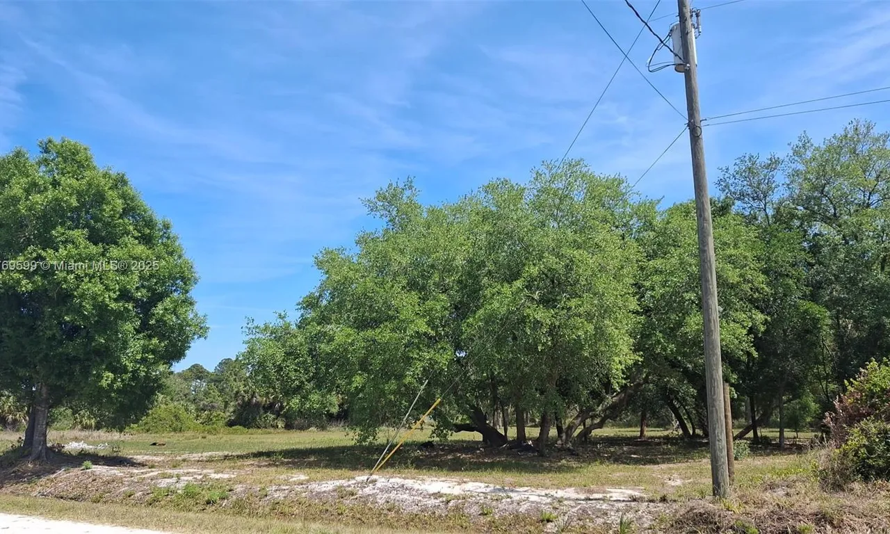 225 OLIVO ST, Clewiston FL 33440