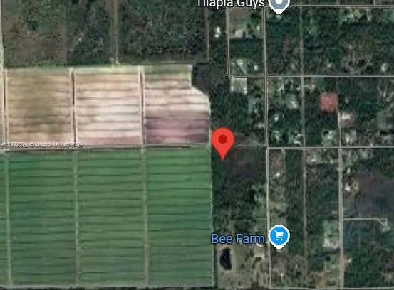 2402 Tampa Ave, Clewiston FL 33440