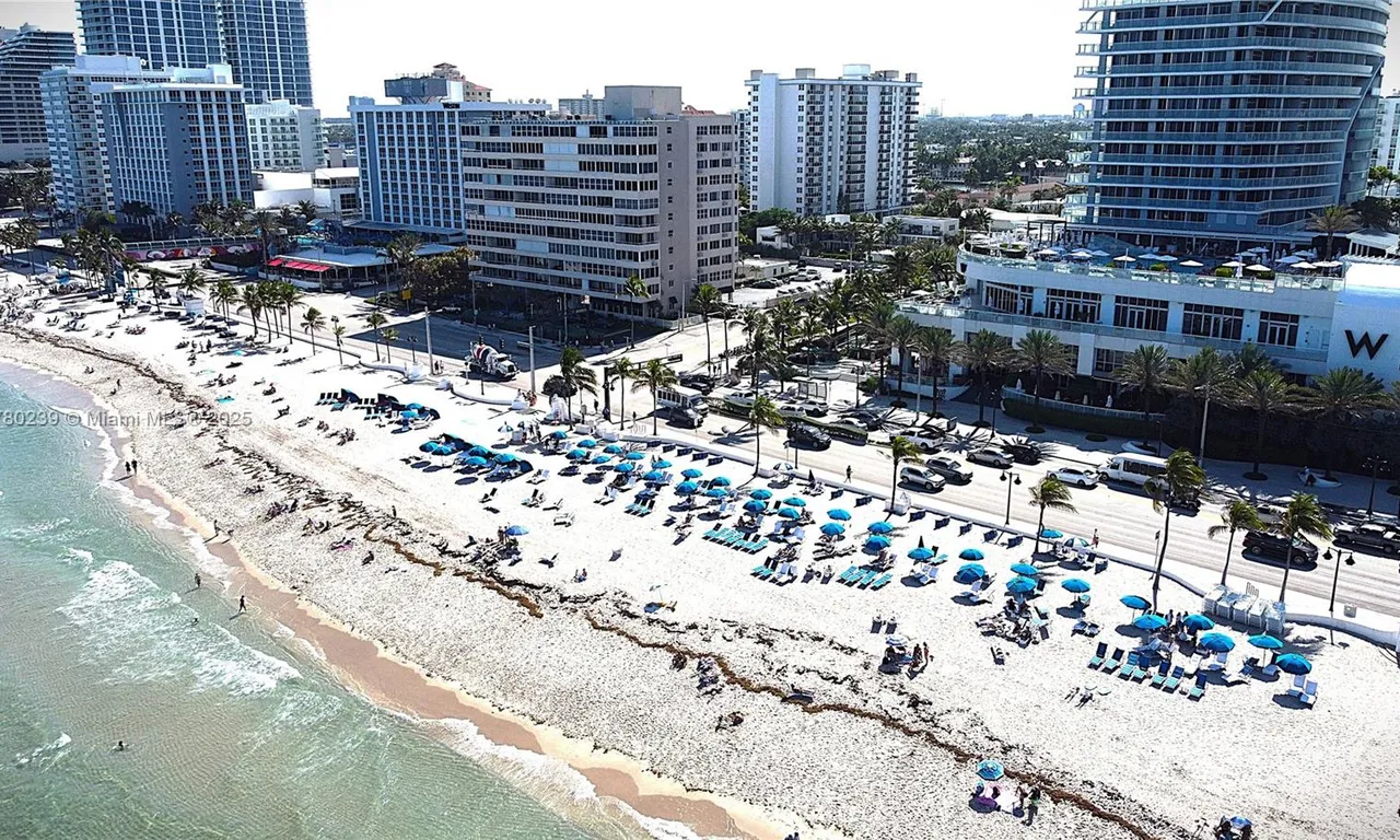 345 N Fort Lauderdale Beach Blvd # 202, Fort Lauderdale FL 33304