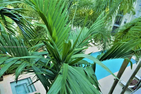 533 NE 3rd Ave # 446, Fort Lauderdale FL 33301