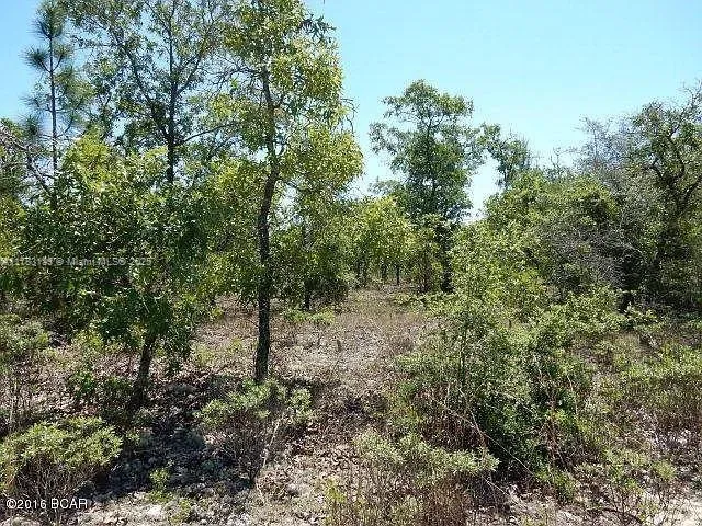 3859 FOXHUNT ROAD, Other City - In The State Of Florida FL 322428