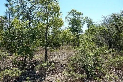3859 FOXHUNT ROAD, Other City - In The State Of Florida FL 322428