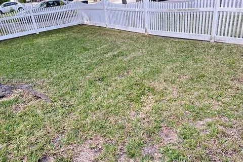6001 SW 66th St, South Miami FL 33143