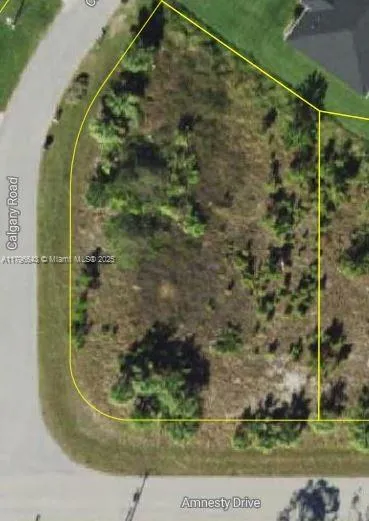 AMNESTY DR, North Port FL 34288