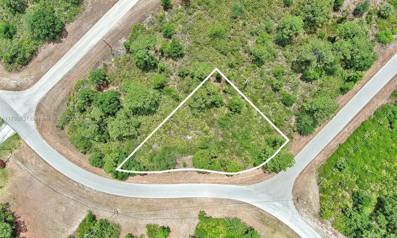 1104 Naples Ave S, Lehigh Acres FL 33974