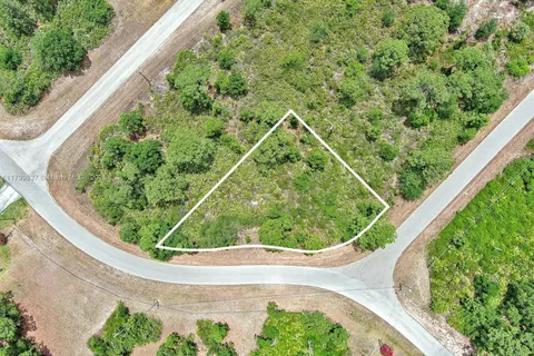 1104 Naples Ave S, Lehigh Acres FL 33974