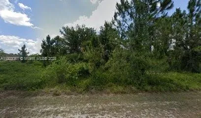 1905 WELLS AVE, Lehigh Acres FL 33972