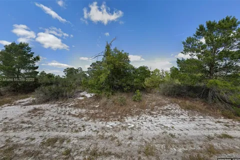 341 NE Galapagos Ave, Lake Placid FL 33852