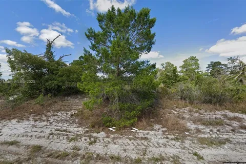 341 NE Galapagos Ave, Lake Placid FL 33852
