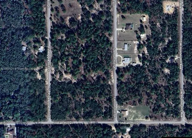 0 SW LEMON HILL DR, Other City - In The State Of Florida FL 34431