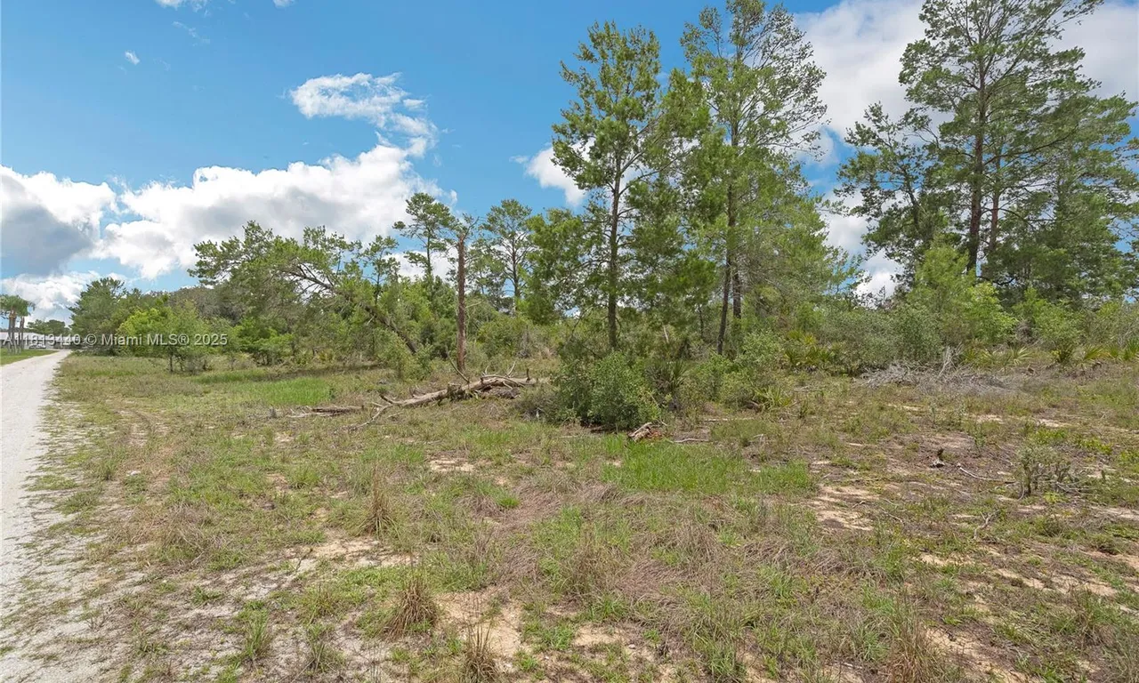 3055 Scoralick Rd,, Avon Park FL 33825