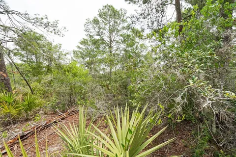 3055 Scoralick Rd,, Avon Park FL 33825