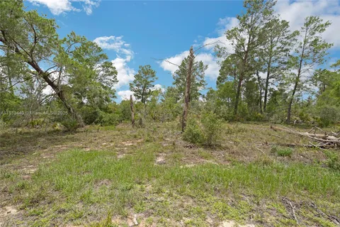 3055 Scoralick Rd,, Avon Park FL 33825