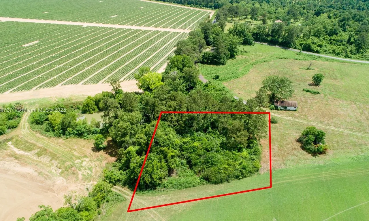 0 TYLER SANDERS ROAD, Other City - In The State Of Florida FL 32352