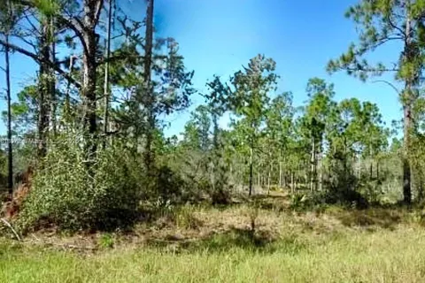 380 Showboat Ave, Lake Placid FL 33852