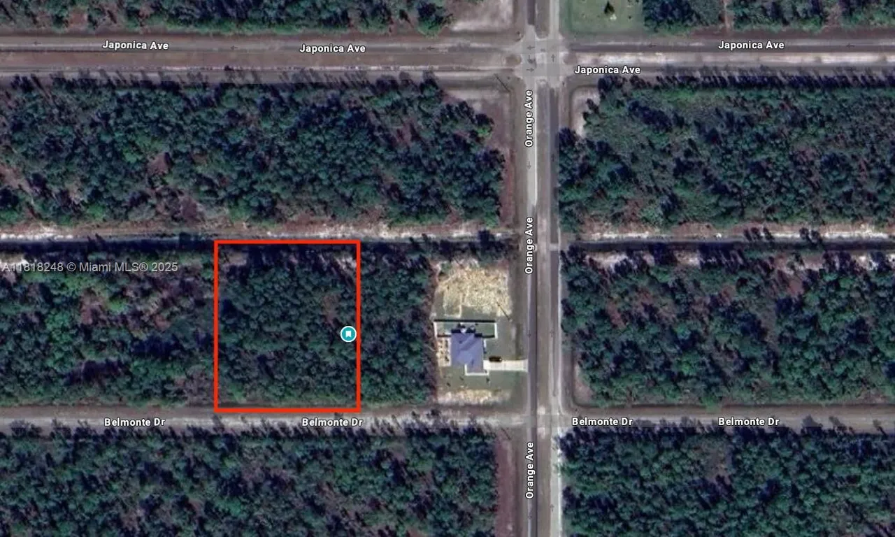 806 Belmonte Drive, Lake Wales FL 33855