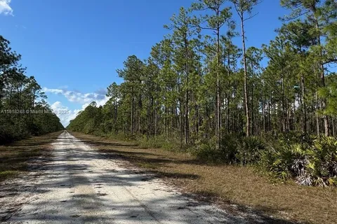 806 Belmonte Drive, Lake Wales FL 33855