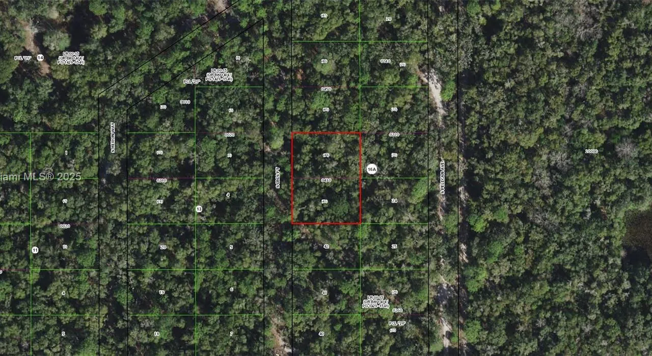 3927 S Ibis Point, Inverness FL 34450