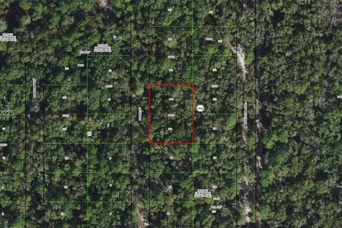 3927 S Ibis Point, Inverness FL 34450