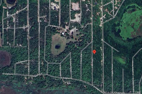 3927 S Ibis Point, Inverness FL 34450