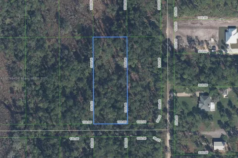 910 Iris Avenue, Sebring FL 33875