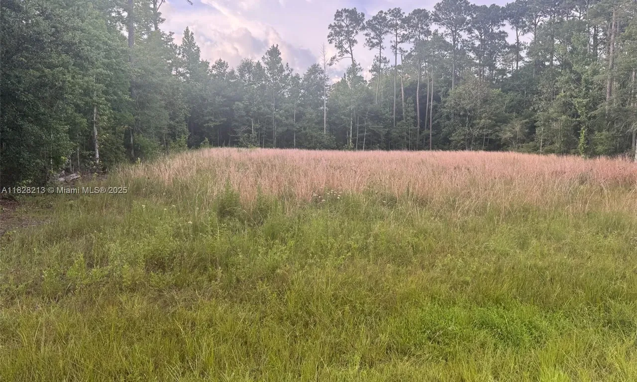 XX Del Monte St, Other City - In The State Of Florida FL 32583
